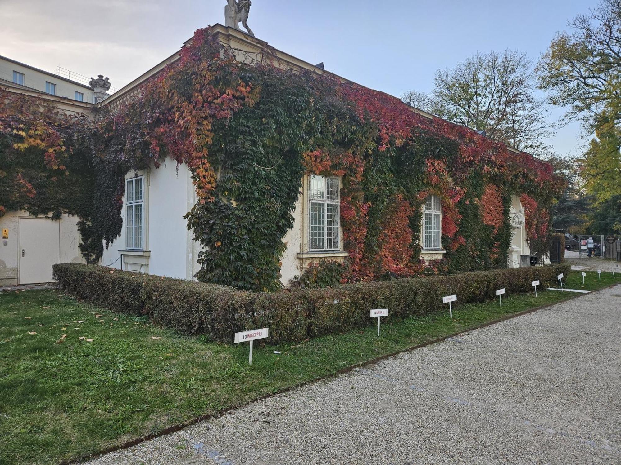 Mauthaus Lichtenstein Wenen Buitenkant foto